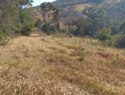 FAZENDA EM COLÔNIA/ONÇA DE PITANGUI