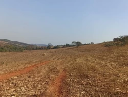 FAZENDA EM COLÔNIA/ONÇA DE PITANGUI