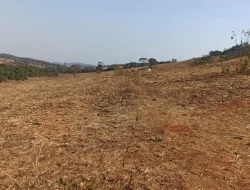FAZENDA EM COLÔNIA/ONÇA DE PITANGUI