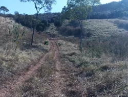 FAZENDA EM COLÔNIA/ONÇA DE PITANGUI