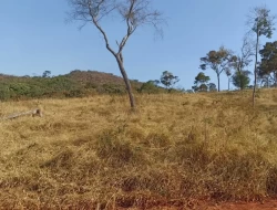 FAZENDA EM COLÔNIA/ONÇA DE PITANGUI