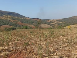 FAZENDA EM COLÔNIA/ONÇA DE PITANGUI