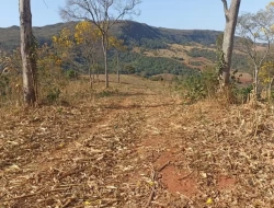 FAZENDA EM COLÔNIA/ONÇA DE PITANGUI