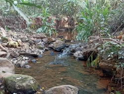 FAZENDA EM COLÔNIA/ONÇA DE PITANGUI