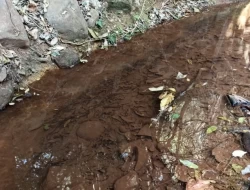 FAZENDA EM COLÔNIA/ONÇA DE PITANGUI