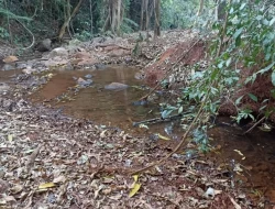 FAZENDA EM COLÔNIA/ONÇA DE PITANGUI
