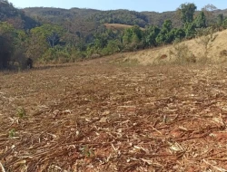 FAZENDA EM COLÔNIA/ONÇA DE PITANGUI