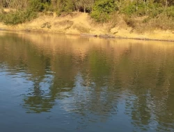 SÍTIO ( RANCHO)  MUNICÍPIO MARTINHO CAMPOS COM ACESSO AO RIO SÃO FRANCISCO DENTRO DO TERRENO