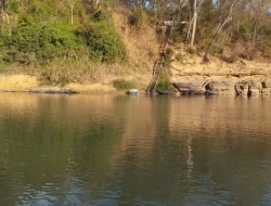 SÍTIO ( RANCHO)  MUNICÍPIO MARTINHO CAMPOS COM ACESSO AO RIO SÃO FRANCISCO DENTRO DO TERRENO