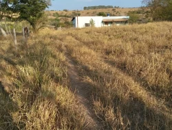 SÍTIO ( RANCHO)  MUNICÍPIO MARTINHO CAMPOS COM ACESSO AO RIO SÃO FRANCISCO DENTRO DO TERRENO