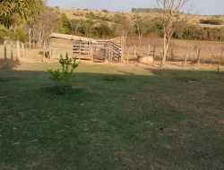 SÍTIO ( RANCHO)  MUNICÍPIO MARTINHO CAMPOS COM ACESSO AO RIO SÃO FRANCISCO DENTRO DO TERRENO