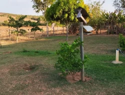 SÍTIO ( RANCHO)  MUNICÍPIO MARTINHO CAMPOS COM ACESSO AO RIO SÃO FRANCISCO DENTRO DO TERRENO