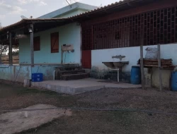 SÍTIO ( RANCHO)  MUNICÍPIO MARTINHO CAMPOS COM ACESSO AO RIO SÃO FRANCISCO DENTRO DO TERRENO