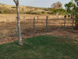 SÍTIO ( RANCHO)  MUNICÍPIO MARTINHO CAMPOS COM ACESSO AO RIO SÃO FRANCISCO DENTRO DO TERRENO