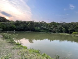 CHÁCARA EM RIO DO PEIXE-ONÇA PITANGUI