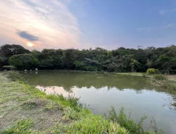CHÁCARA EM RIO DO PEIXE-ONÇA PITANGUI