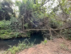 CHÁCARA EM RIO DO PEIXE-ONÇA PITANGUI