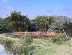 CHÁCARA EM RIO DO PEIXE-ONÇA PITANGUI