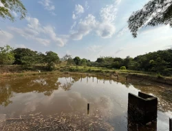 CHÁCARA EM RIO DO PEIXE-ONÇA PITANGUI