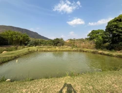 CHÁCARA EM RIO DO PEIXE-ONÇA PITANGUI