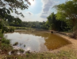 CHÁCARA EM RIO DO PEIXE-ONÇA PITANGUI