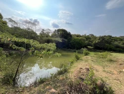 CHÁCARA EM RIO DO PEIXE-ONÇA PITANGUI