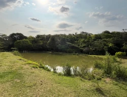 CHÁCARA EM RIO DO PEIXE-ONÇA PITANGUI