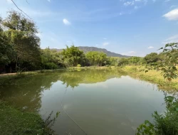 CHÁCARA EM RIO DO PEIXE-ONÇA PITANGUI