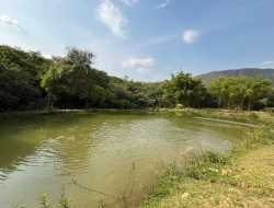 CHÁCARA EM RIO DO PEIXE-ONÇA PITANGUI