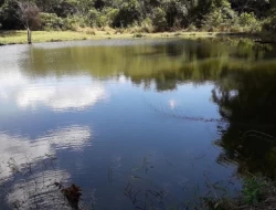 CHÁCARA EM RIO DO PEIXE-ONÇA PITANGUI