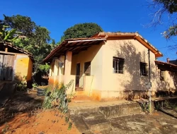 FAZENDA NOS GAIA/ ONÇA PITANGUI