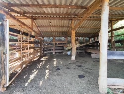 FAZENDA NOS GAIA/ ONÇA PITANGUI