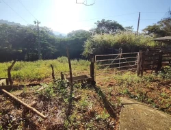 FAZENDA NOS GAIA/ ONÇA PITANGUI