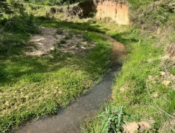CHÁCARA NOS PAIVAS/PARÁ DE MINAS