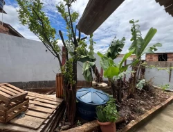 CASA BAIRRO SÃO PAULO