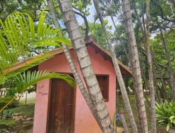CHÁCARA EM ASCENSÃO  ( VENDA PORTEIRA FECHADA )
