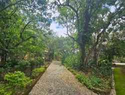 CHÁCARA EM ASCENSÃO  ( VENDA PORTEIRA FECHADA )