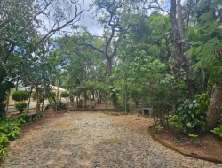 CHÁCARA EM ASCENSÃO  ( VENDA PORTEIRA FECHADA )