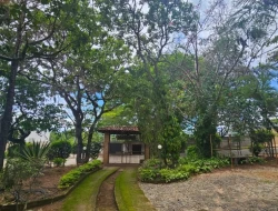 CHÁCARA EM ASCENSÃO  ( VENDA PORTEIRA FECHADA )