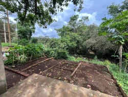 CHÁCARA NOS PENHAS/ PARÁ DE MINAS