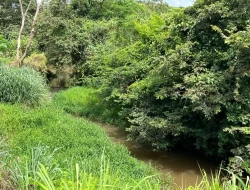 CHÁCARA NOS PENHAS/ PARÁ DE MINAS