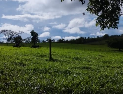 FAZENDA EM QUARTEL GERAL