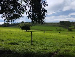 FAZENDA EM QUARTEL GERAL