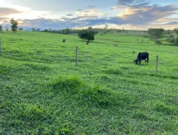 FAZENDA EM QUARTEL GERAL