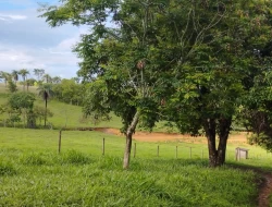 FAZENDA EM QUARTEL GERAL