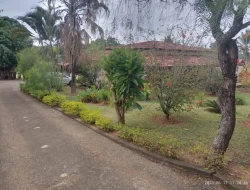 FAZENDA EM QUARTEL GERAL