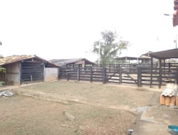 FAZENDA EM QUARTEL GERAL