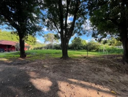 SÍTIO A 3 KM DE PARÁ DE MINAS