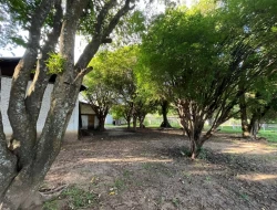 SÍTIO A 3 KM DE PARÁ DE MINAS