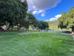 SÍTIO A 3 KM DE PARÁ DE MINAS
